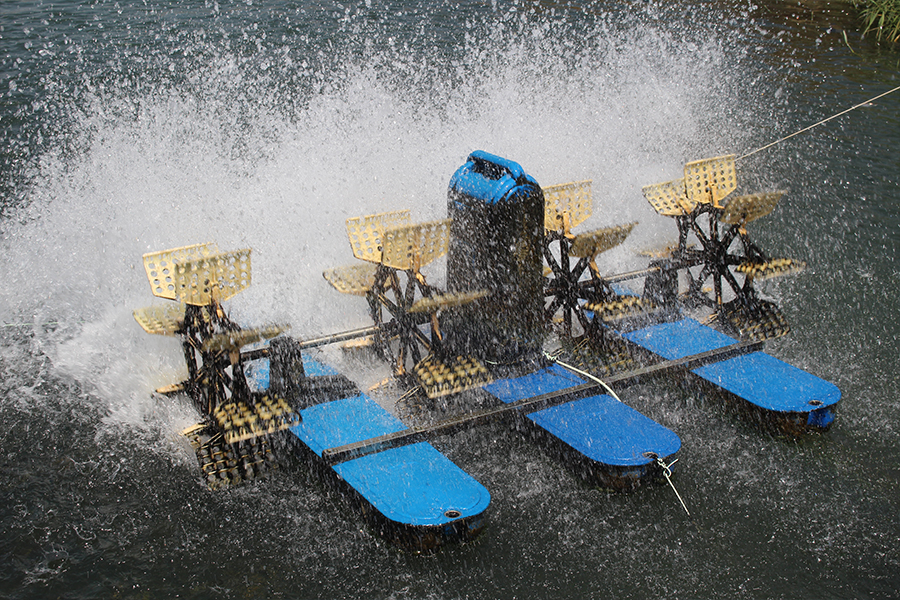 Paddle Wheel Aerator